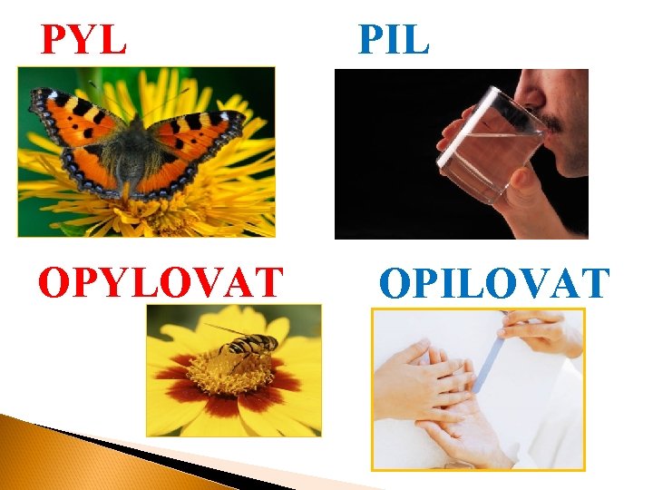 PYL OPYLOVAT PIL OPILOVAT 