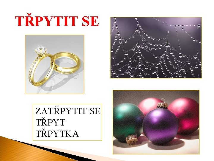 TŘPYTIT SE ZATŘPYTIT SE TŘPYTKA 