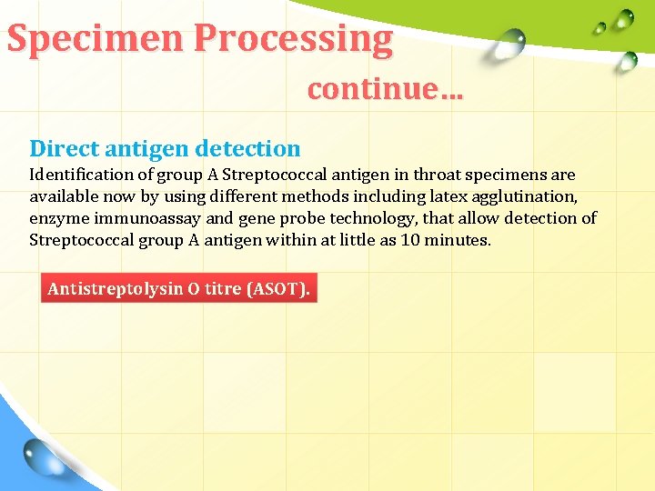 Specimen Processing continue… Direct antigen detection Identification of group A Streptococcal antigen in throat