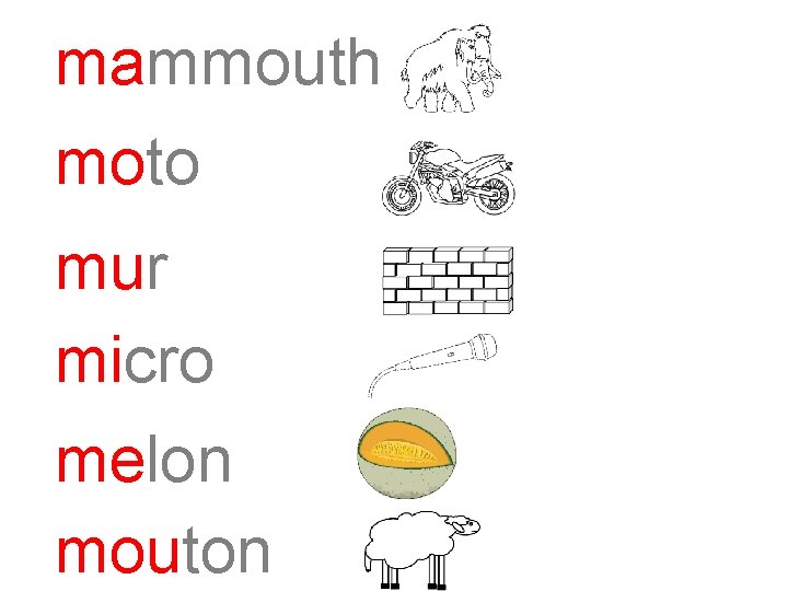 mammouth moto mur micro melon mouton 
