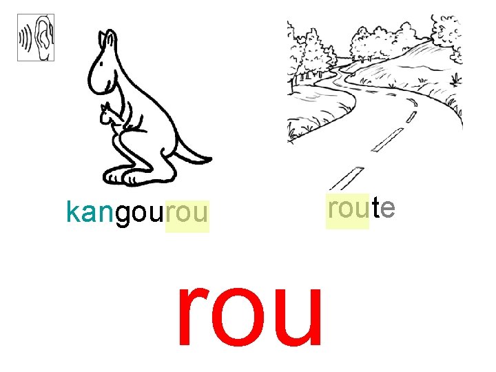 kangourou route rou 