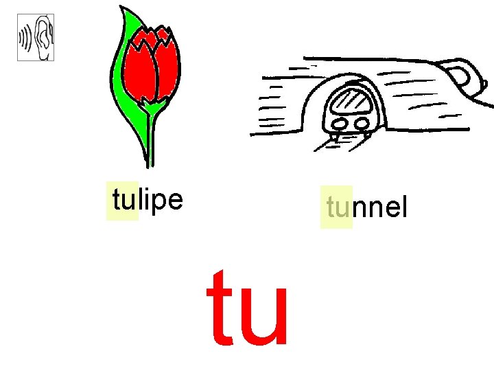 tulipe tunnel tu 