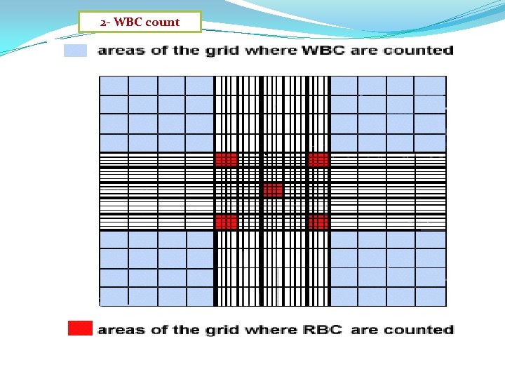 2 - WBC count 