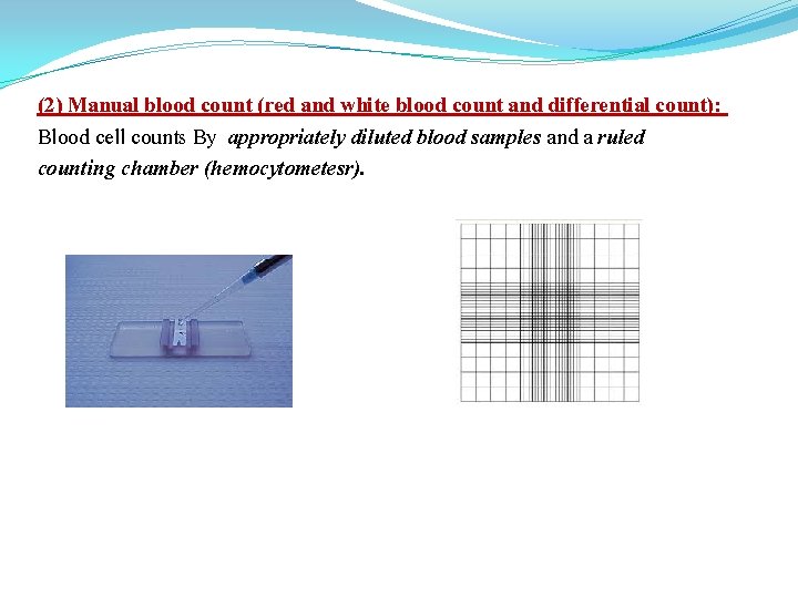 (2) Manual blood count (red and white blood count and differential count): Blood cell