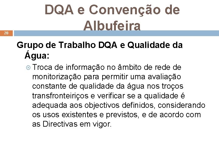28 DQA e Convenção de Albufeira Grupo de Trabalho DQA e Qualidade da Água:
