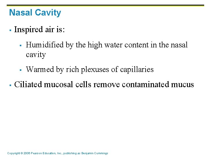 Nasal Cavity § Inspired air is: § § § Humidified by the high water