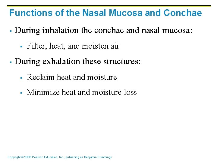 Functions of the Nasal Mucosa and Conchae § During inhalation the conchae and nasal