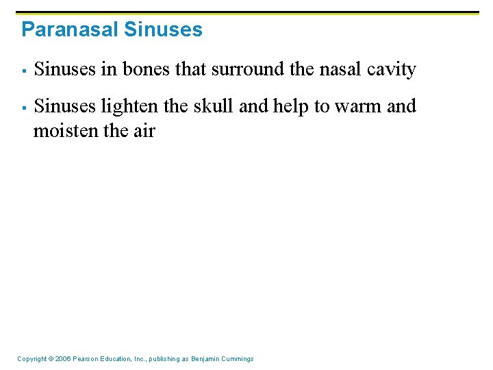 Paranasal Sinuses § § Sinuses in bones that surround the nasal cavity Sinuses lighten