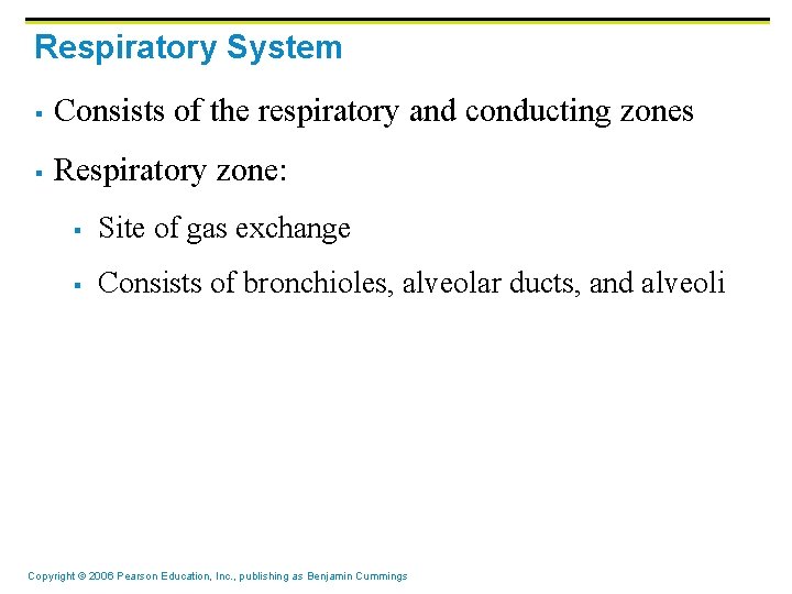 Respiratory System § Consists of the respiratory and conducting zones § Respiratory zone: §