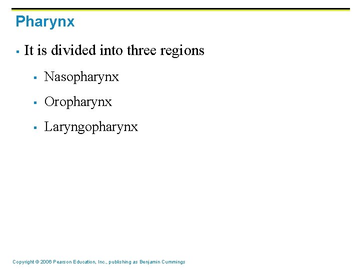 Pharynx § It is divided into three regions § Nasopharynx § Oropharynx § Laryngopharynx