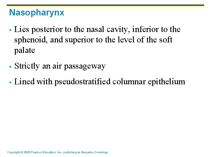 Nasopharynx § Lies posterior to the nasal cavity, inferior to the sphenoid, and superior