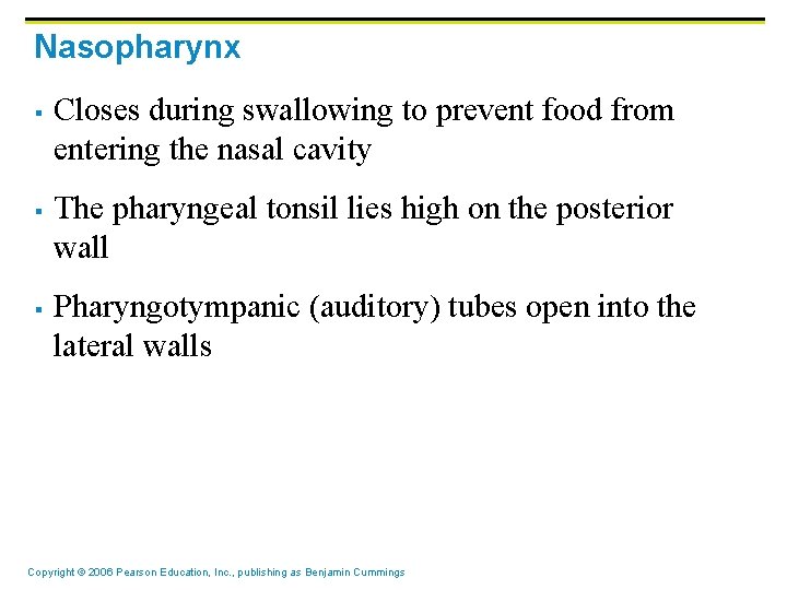 Nasopharynx § § § Closes during swallowing to prevent food from entering the nasal