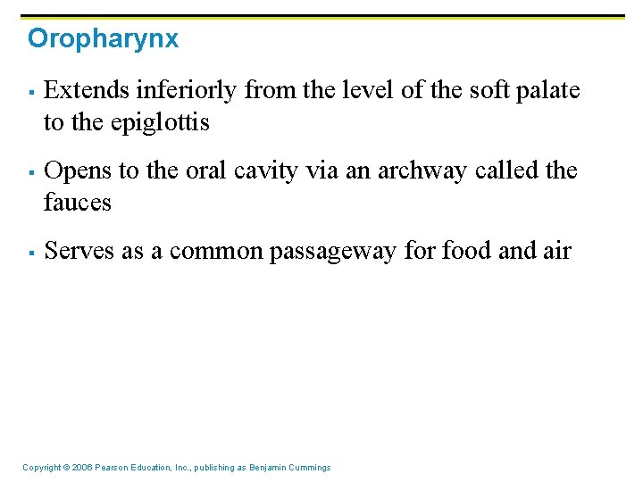 Oropharynx § § § Extends inferiorly from the level of the soft palate to