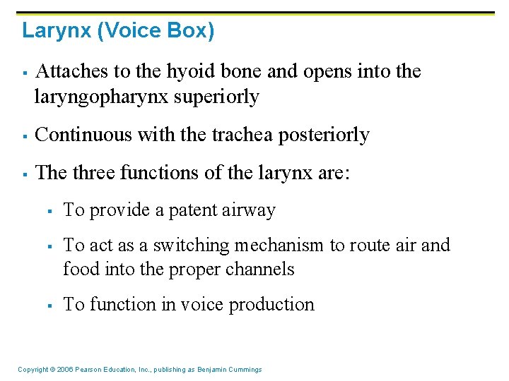 Larynx (Voice Box) § Attaches to the hyoid bone and opens into the laryngopharynx