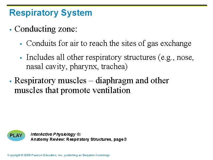 Respiratory System § Conducting zone: § § § Conduits for air to reach the