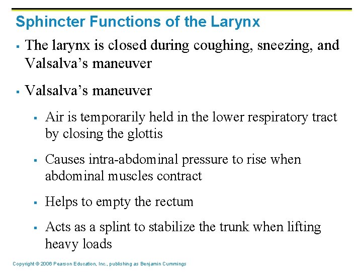 Sphincter Functions of the Larynx § § The larynx is closed during coughing, sneezing,