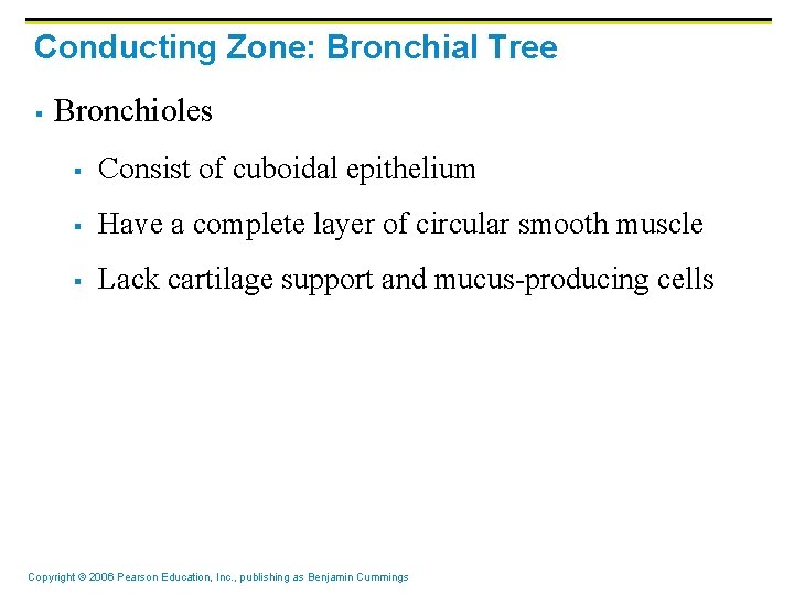 Conducting Zone: Bronchial Tree § Bronchioles § Consist of cuboidal epithelium § Have a