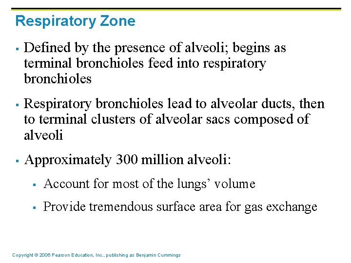 Respiratory Zone § § § Defined by the presence of alveoli; begins as terminal