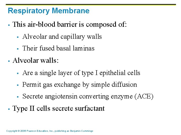 Respiratory Membrane § § § This air-blood barrier is composed of: § Alveolar and