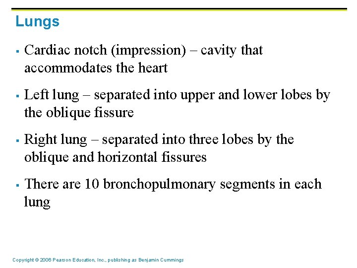 Lungs § § Cardiac notch (impression) – cavity that accommodates the heart Left lung