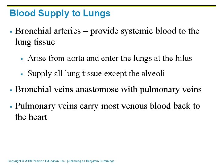 Blood Supply to Lungs § § § Bronchial arteries – provide systemic blood to