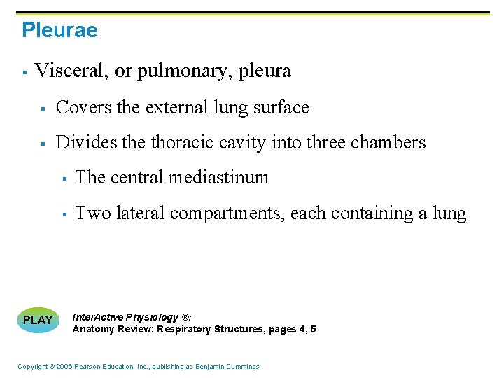 Pleurae § Visceral, or pulmonary, pleura § Covers the external lung surface § Divides