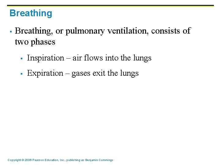 Breathing § Breathing, or pulmonary ventilation, consists of two phases § Inspiration – air