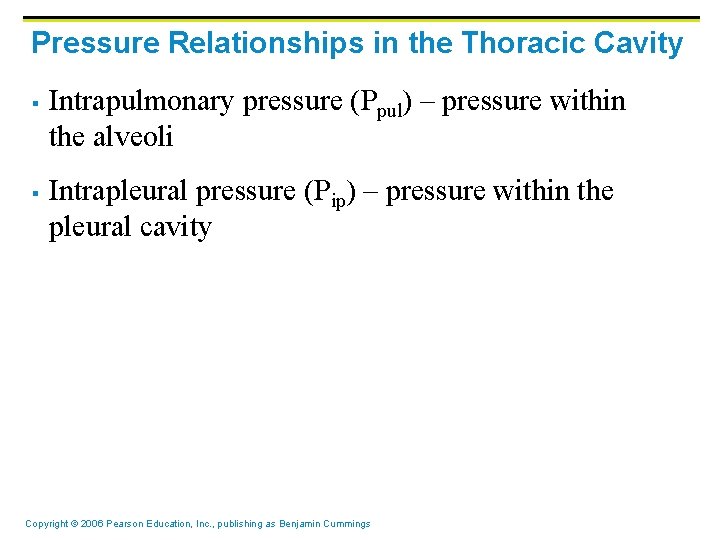 Pressure Relationships in the Thoracic Cavity § § Intrapulmonary pressure (Ppul) – pressure within