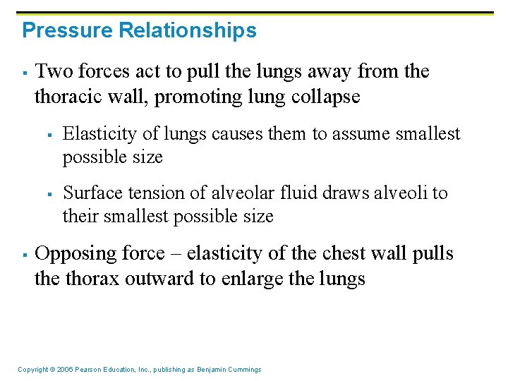 Pressure Relationships § Two forces act to pull the lungs away from the thoracic