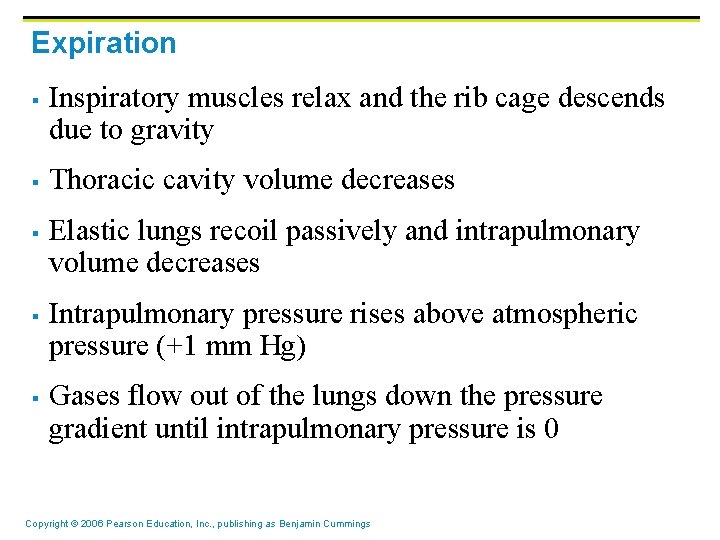 Expiration § § § Inspiratory muscles relax and the rib cage descends due to