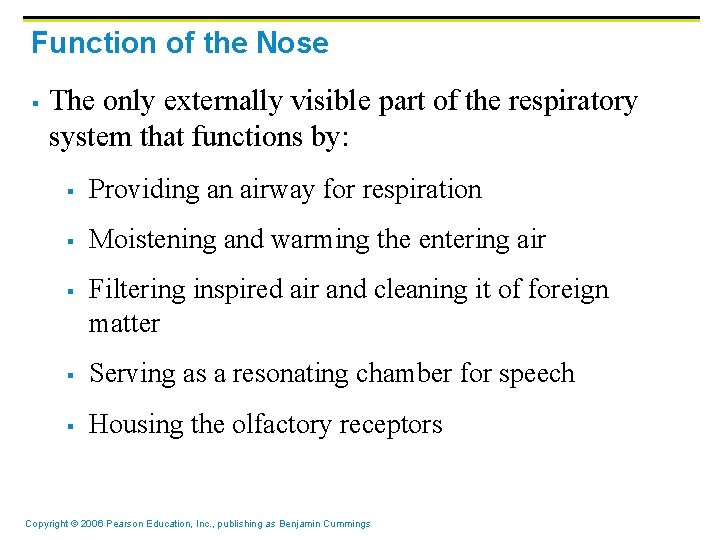 Function of the Nose § The only externally visible part of the respiratory system