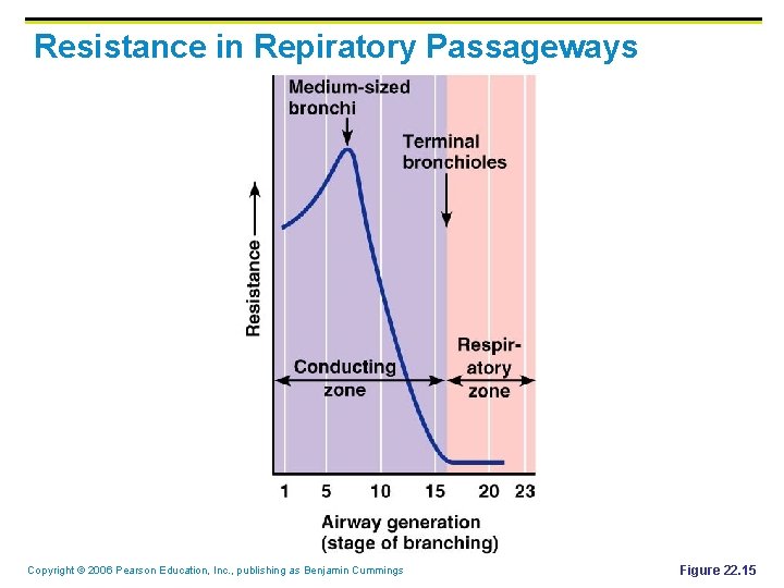 Resistance in Repiratory Passageways Copyright © 2006 Pearson Education, Inc. , publishing as Benjamin