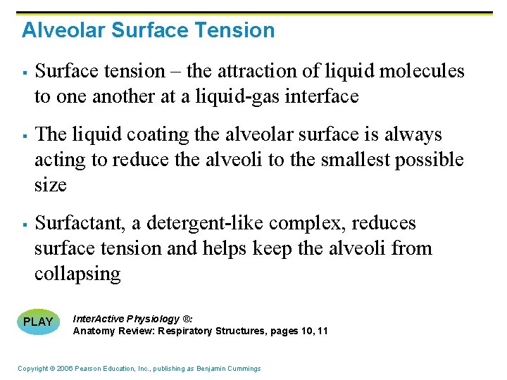 Alveolar Surface Tension § § § Surface tension – the attraction of liquid molecules