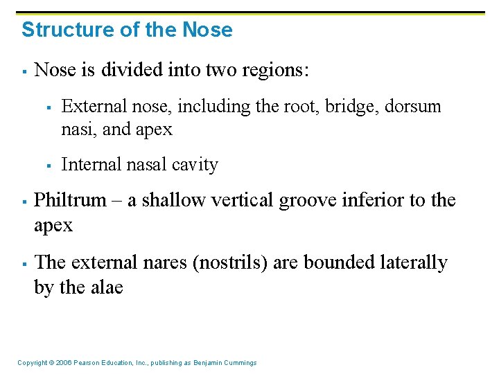 Structure of the Nose § Nose is divided into two regions: § § External