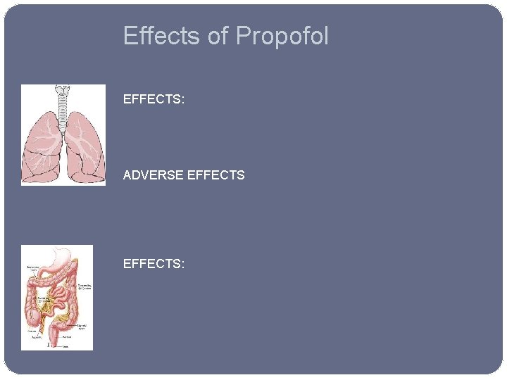 Effects of Propofol EFFECTS: ADVERSE EFFECTS: 
