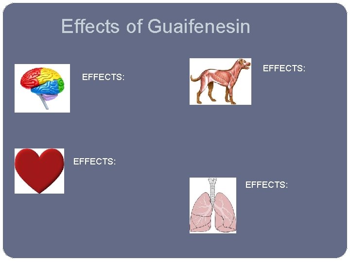 Effects of Guaifenesin EFFECTS: 