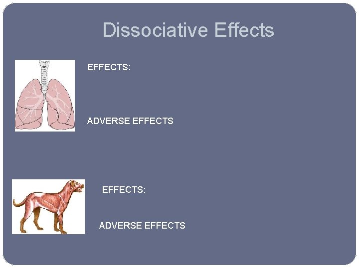 Dissociative Effects EFFECTS: ADVERSE EFFECTS 