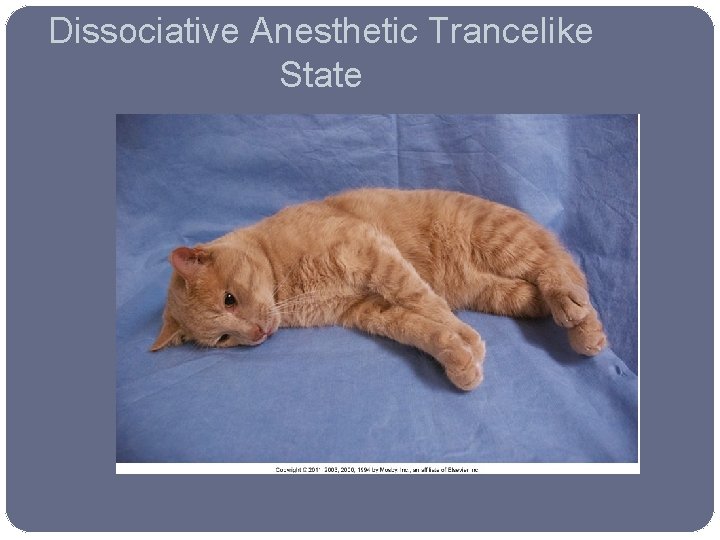Dissociative Anesthetic Trancelike State 
