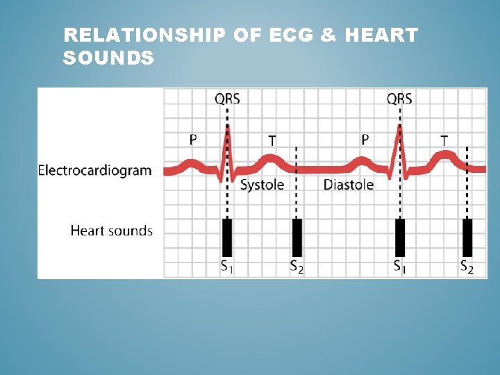 RELATIONSHIP OF ECG & HEART SOUNDS 