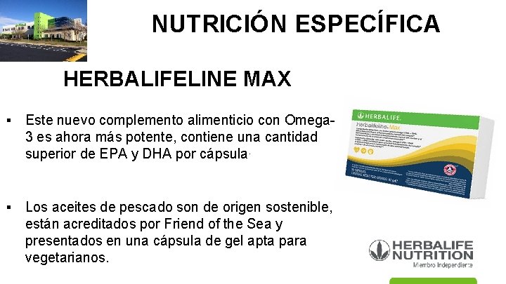 NUTRICIÓN ESPECÍFICA HERBALIFELINE MAX ▪ Este nuevo complemento alimenticio con Omega 3 es ahora