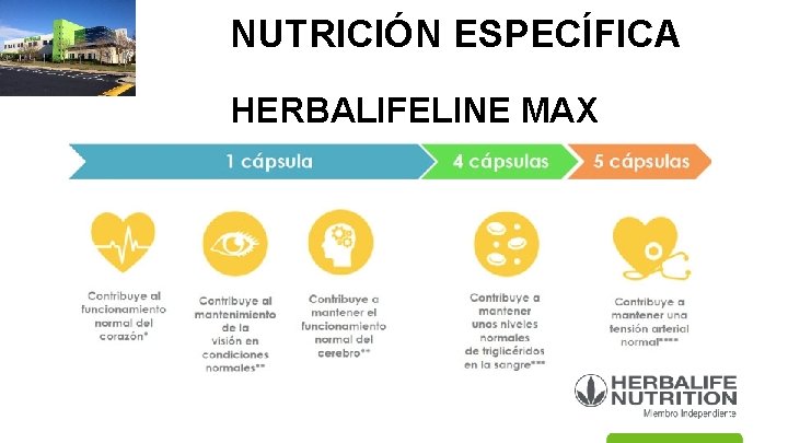 NUTRICIÓN ESPECÍFICA HERBALIFELINE MAX 