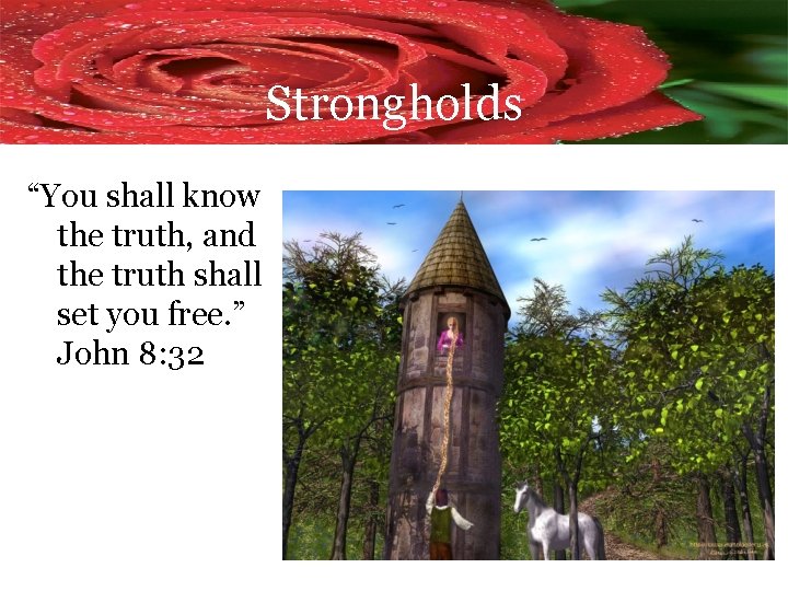 Strongholds “You shall know the truth, and the truth shall set you free. ”