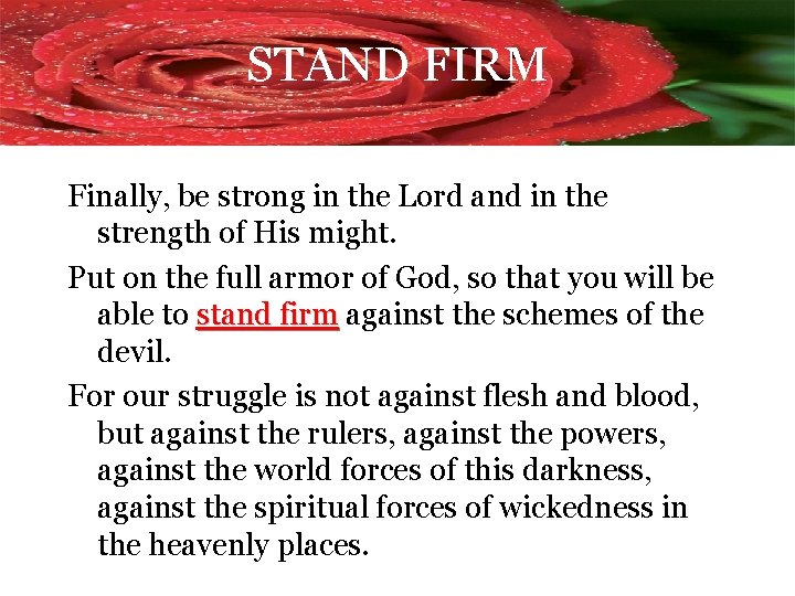 STAND FIRM Finally, be strong in the Lord and in the strength of His