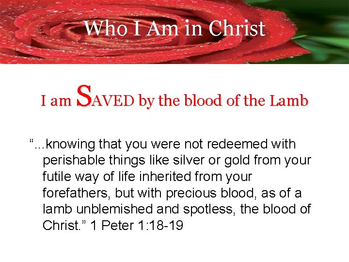 Who I Am in Christ I am SAVED by the blood of the Lamb