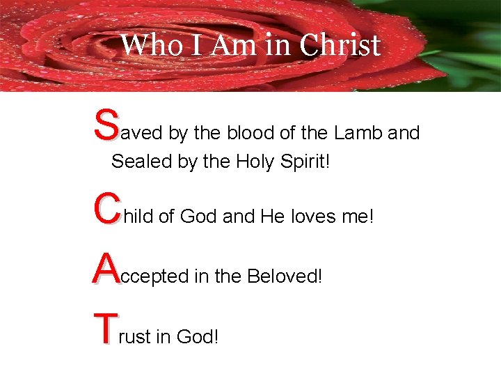 Who I Am in Christ Saved by the blood of the Lamb and Sealed