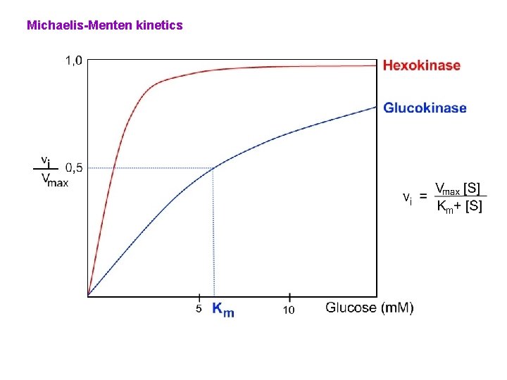 Michaelis-Menten kinetics 