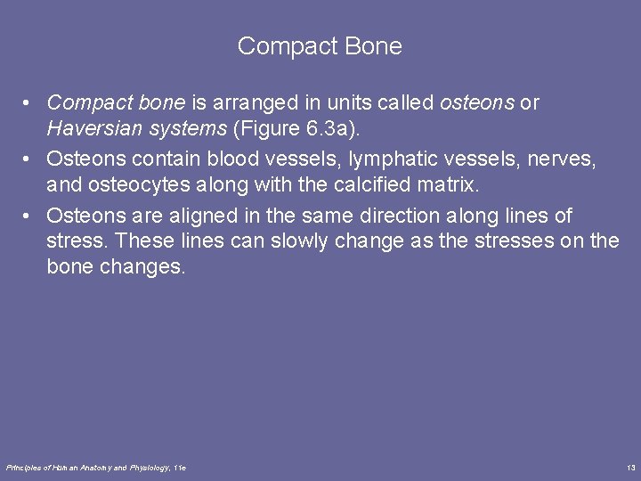 Compact Bone • Compact bone is arranged in units called osteons or Haversian systems