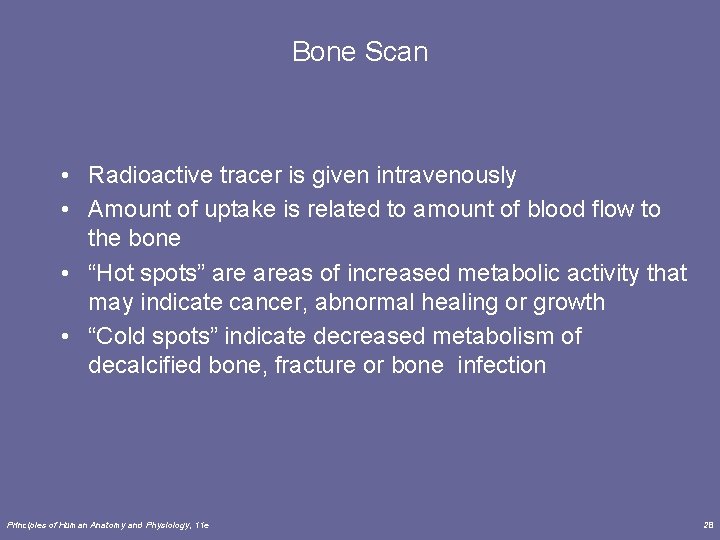 Bone Scan • Radioactive tracer is given intravenously • Amount of uptake is related
