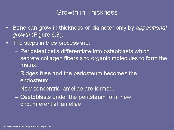 Growth in Thickness • Bone can grow in thickness or diameter only by appositional