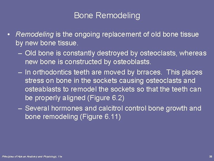 Bone Remodeling • Remodeling is the ongoing replacement of old bone tissue by new
